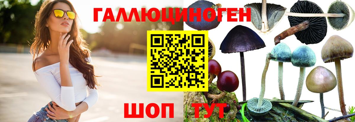 Псилоцибиновые грибы Psilocybine cubensis  цены наркотик  Зеленокумск  Вход с VPN 